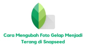 Cara Mengubah Foto Gelap Menjadi Terang di Snapseed